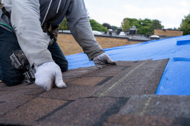 Best Flat Roof Repair Services  in Saginaw, MI