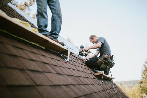 Best Roof Leak Repair  in Saginaw, MI